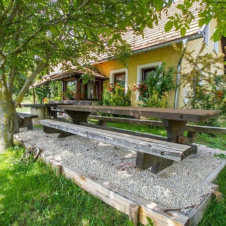 Holiday Home Juricko With Private Sauna Bizeljsko Ngoại thất bức ảnh