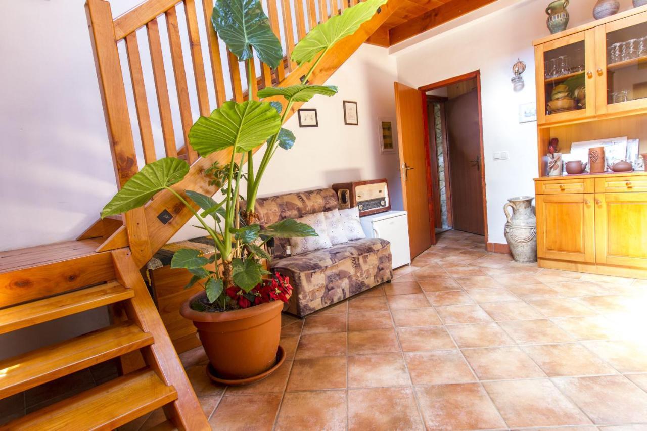 Holiday Home Juricko With Private Sauna Bizeljsko Ngoại thất bức ảnh