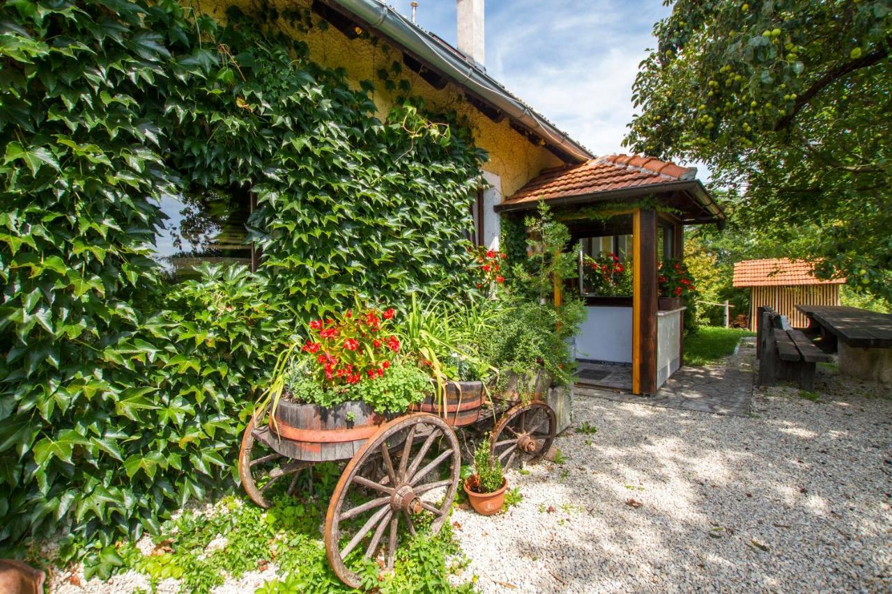 Holiday Home Juricko With Private Sauna Bizeljsko Ngoại thất bức ảnh